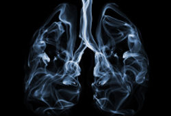 Comparaison entre des poumons noirs de fumeur et des poumons sains de non-fumeur