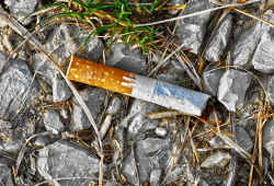 L'impact de la cigarette sur l'environnement